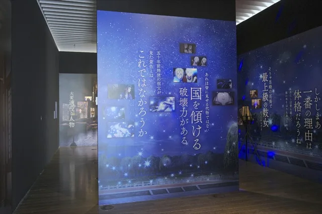 Merchandise display cases