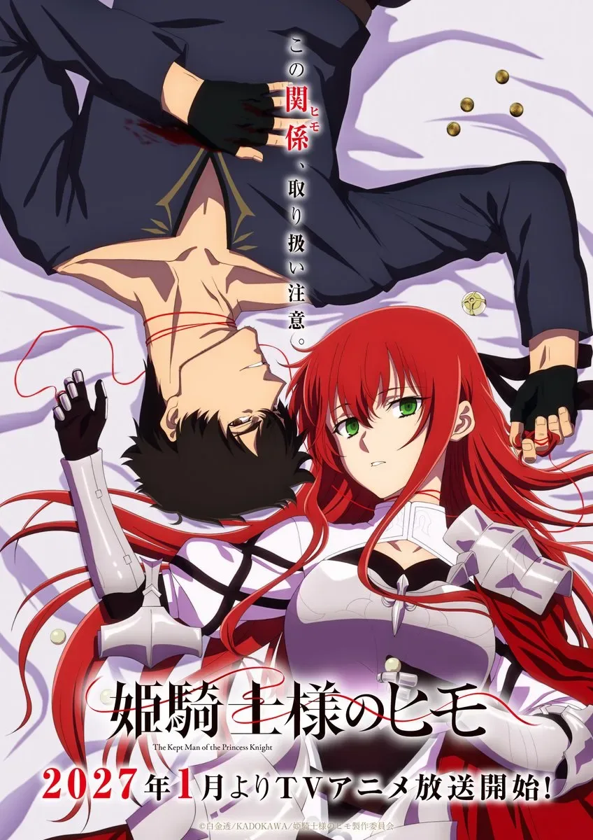The Kept Man of the Princess Knight teaser visual